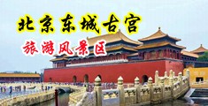 狗鸡巴好大好爽视频中国北京-东城古宫旅游风景区