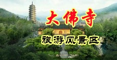 高清无码网址性爱中国浙江-新昌大佛寺旅游风景区